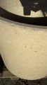 FullSizeRender.jpeg